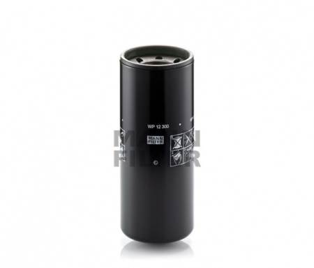 ФОМ MANN WP 12 300